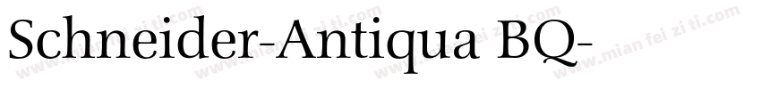 Schneider-Antiqua BQ字体转换